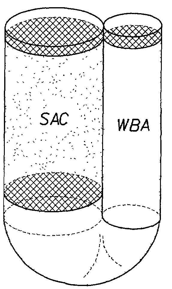 Article for deionization of water