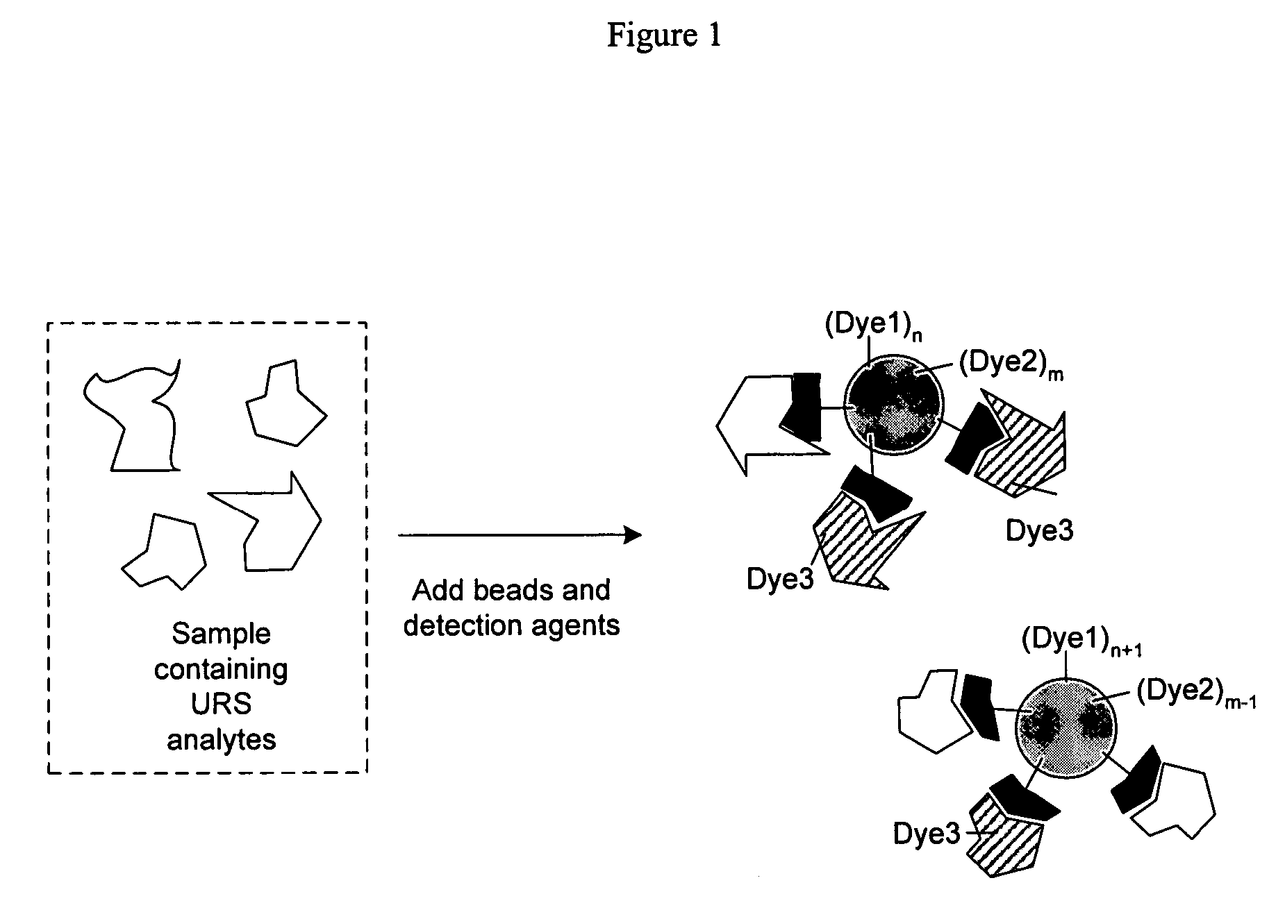 Proteome epitope tags and methods of use thereof in protein modification analysis