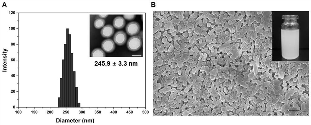 Nano-engineered stem cell anti-tumor targeting drug delivery system as well as preparation method and application thereof