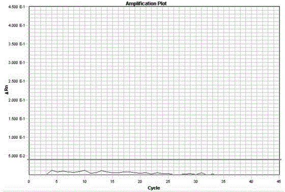 Method and composition for detecting human metapneumovirus based on real-time PCR