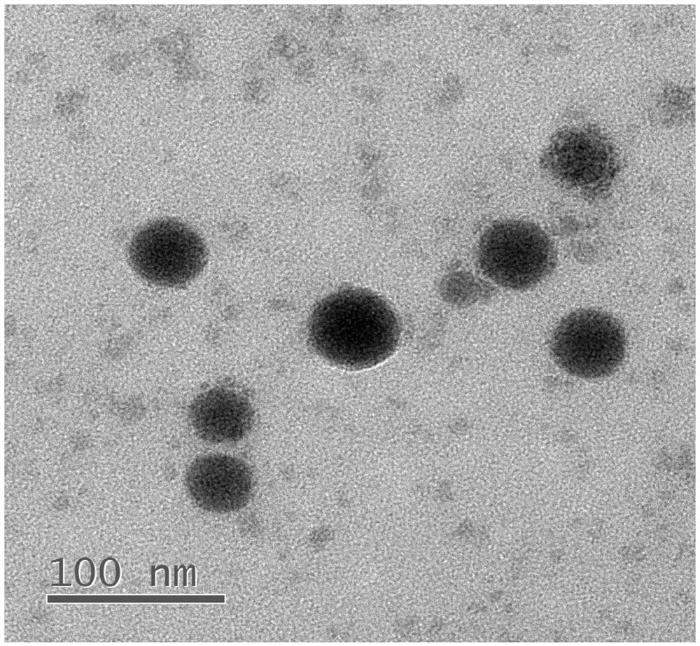 Preparation method and application of realgar nanoparticles