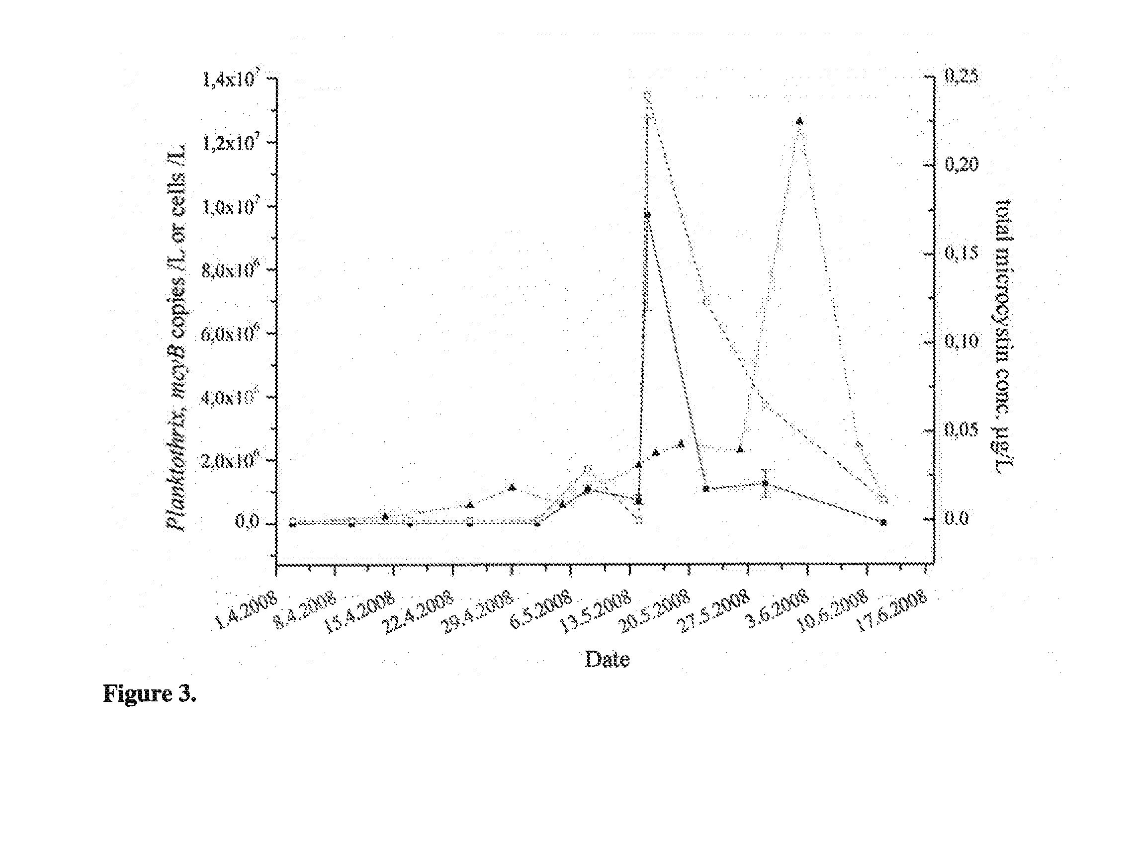 Method and primers for the detection of microcystin-producing toxic cyanobacteria