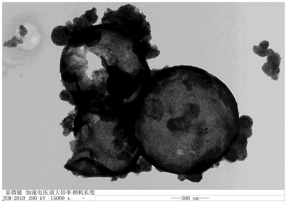 A kind of photocatalyst, preparation method and use method thereof