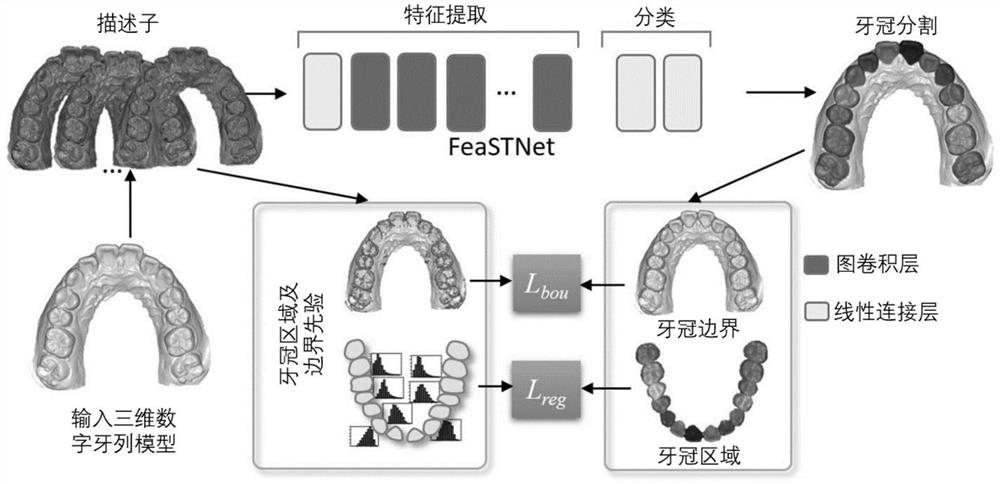 Three-dimensional dentition segmentation and labeling method