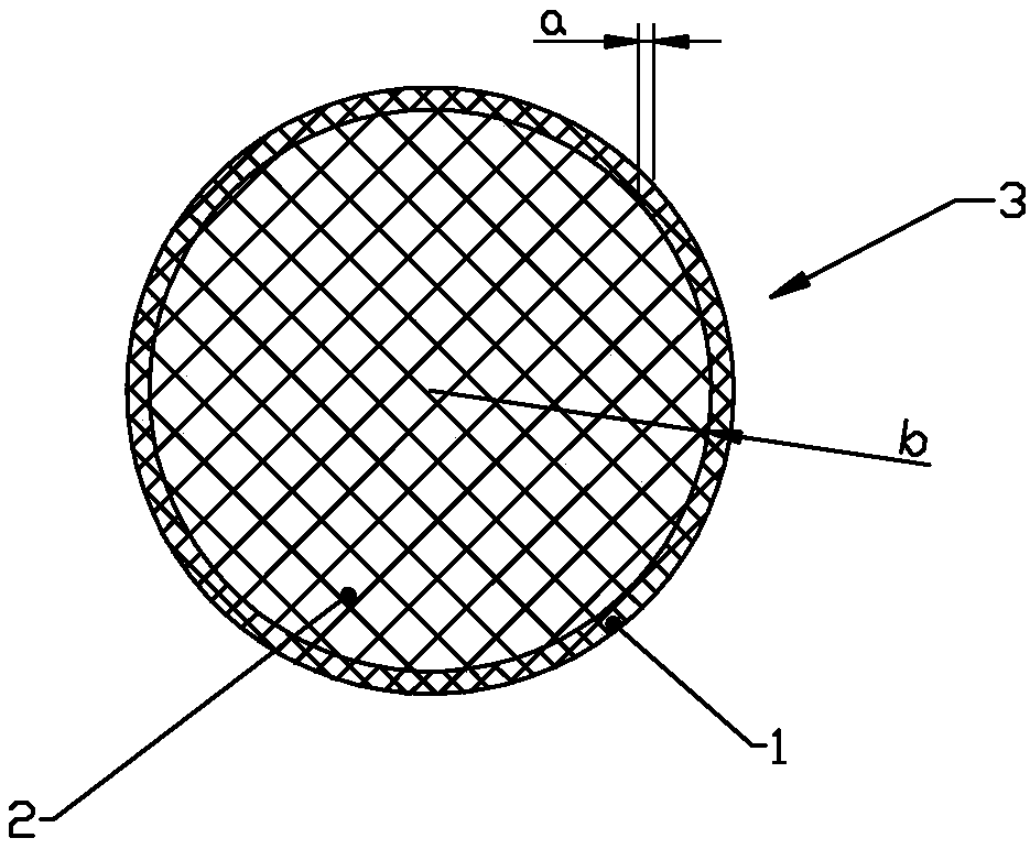 Manufacturing process for environment-friendly polymer pen point of skin-core structure