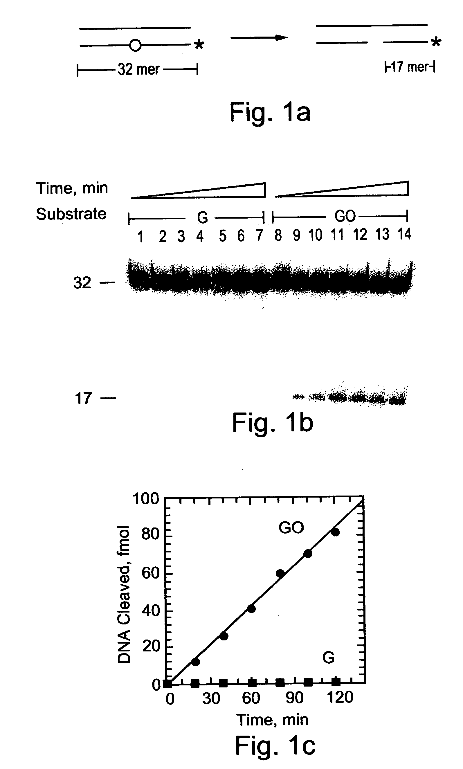 Methods and kits for determining a risk to develop cancer, for evaluating an effectiveness and dosage of cancer therapy and for correlating between an activity of a dna repair enzyme and a cancer
