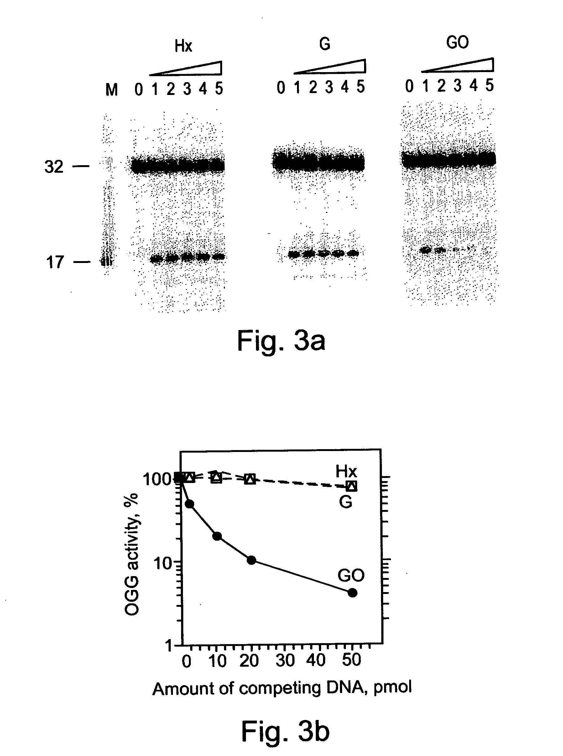 Methods and kits for determining a risk to develop cancer, for evaluating an effectiveness and dosage of cancer therapy and for correlating between an activity of a dna repair enzyme and a cancer