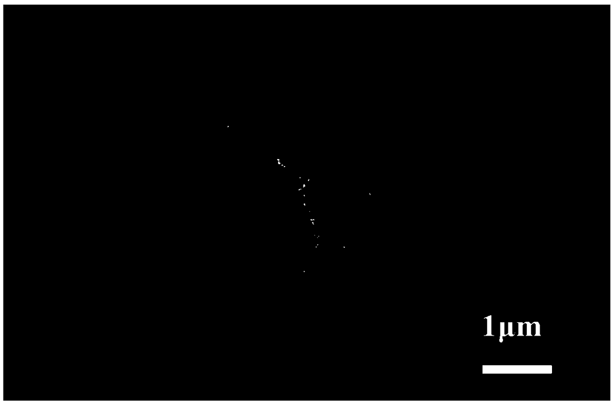 An electrode based on a flexible polyester wire substrate, a preparation method thereof, and a wearable supercapacitor