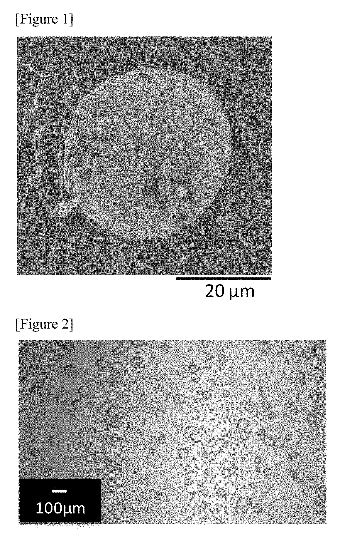 Therapeutic agent for hyperphosphatemia and particles
