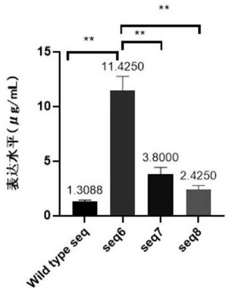 The rbd gene of the new coronavirus b.1.351 South African mutant strain and its application