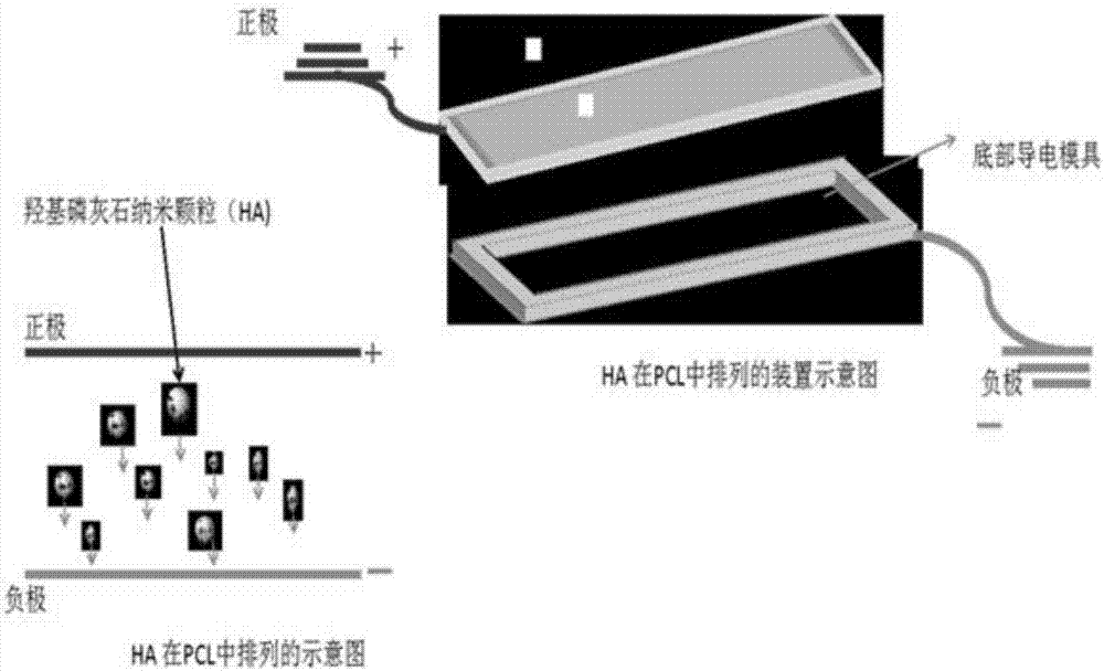 Nano-hydroxyapatite/polycaprolactone gradient functional material prepared through induction of high-voltage electrical field and preparation method thereof