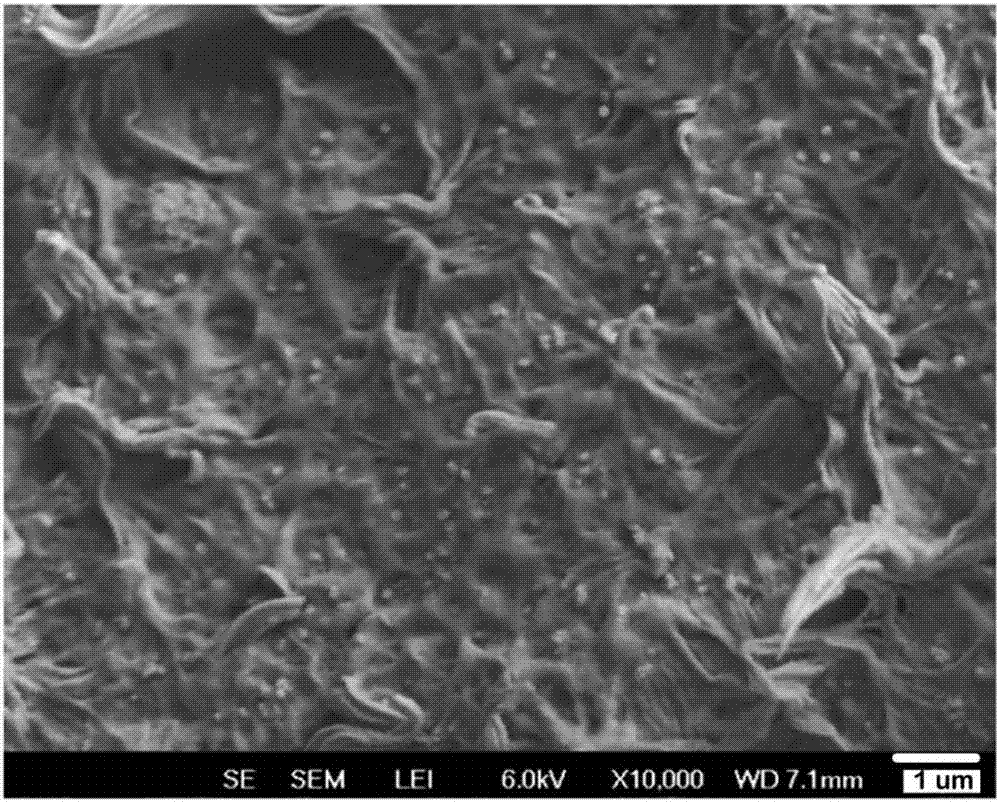 Nano-hydroxyapatite/polycaprolactone gradient functional material prepared through induction of high-voltage electrical field and preparation method thereof