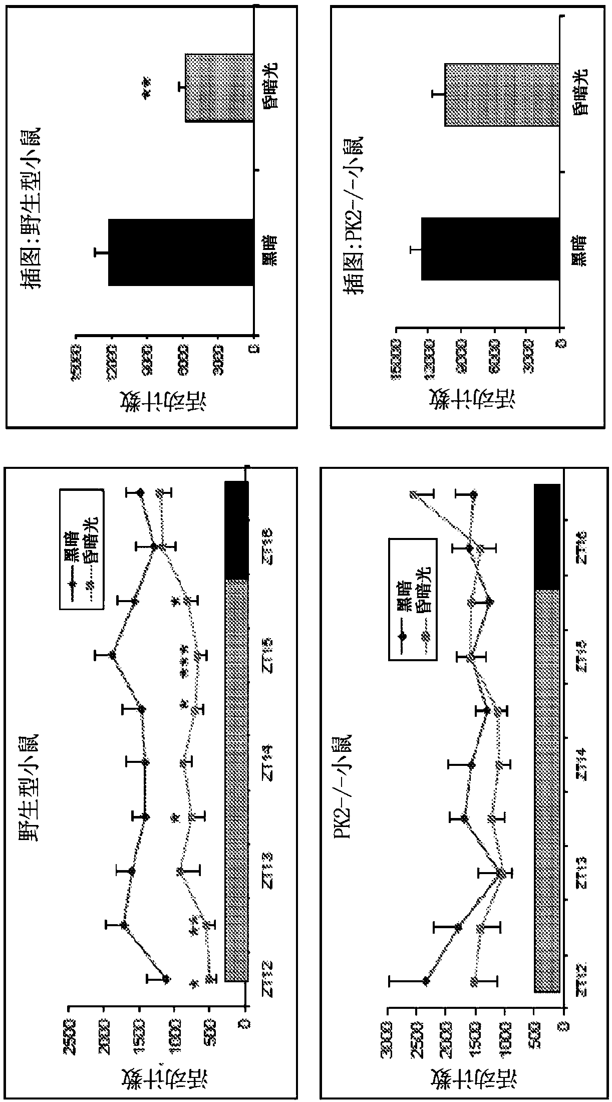 Compositions and methods for treating disorders of circadian and diurnal rhythms using prokineticin 2 agonists and antagonists