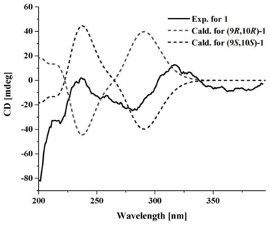 Tetrahydroquinoline alkaloid with anti-prostate cancer activity as well as preparation method and application thereof