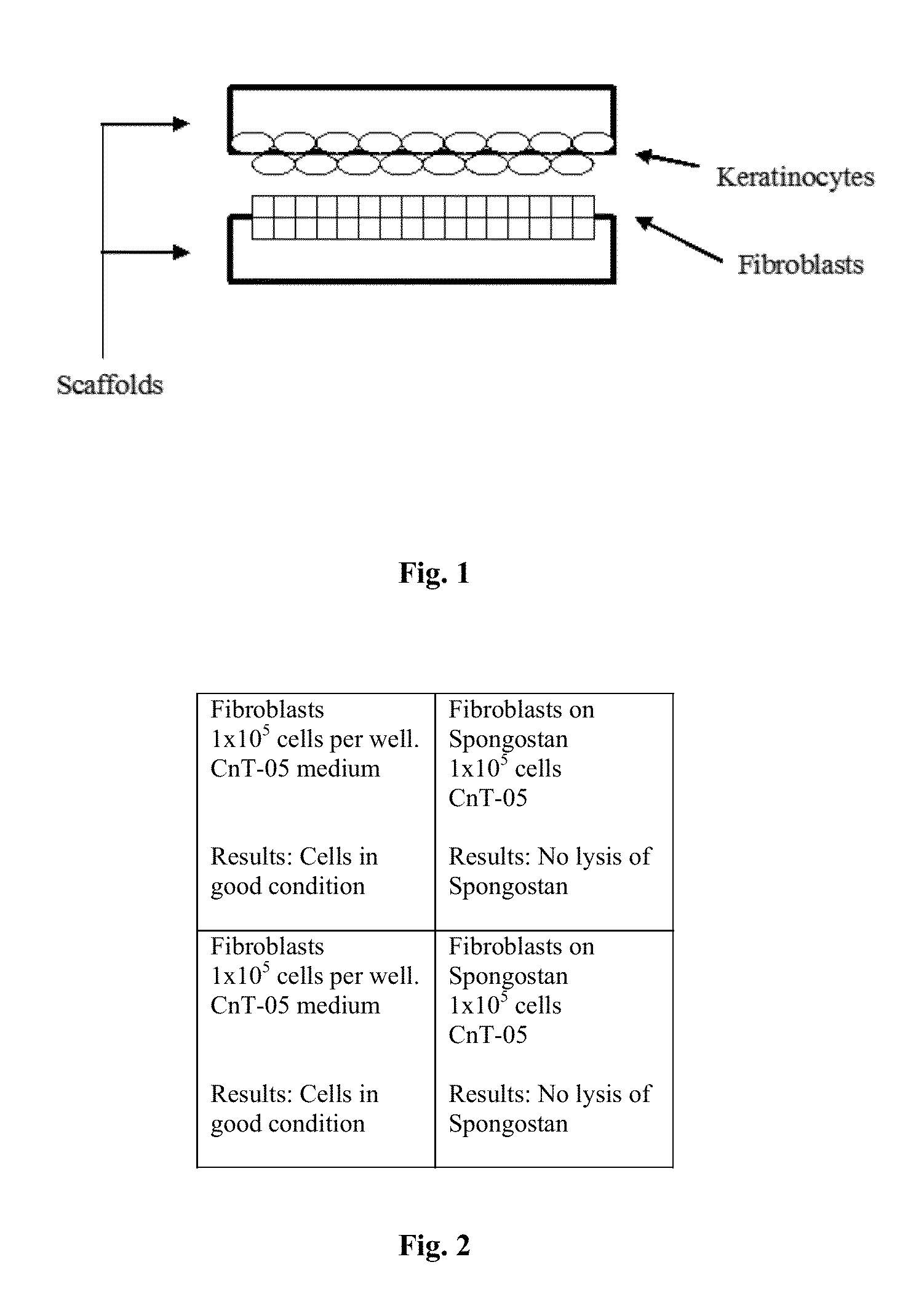 Cellular scaffold