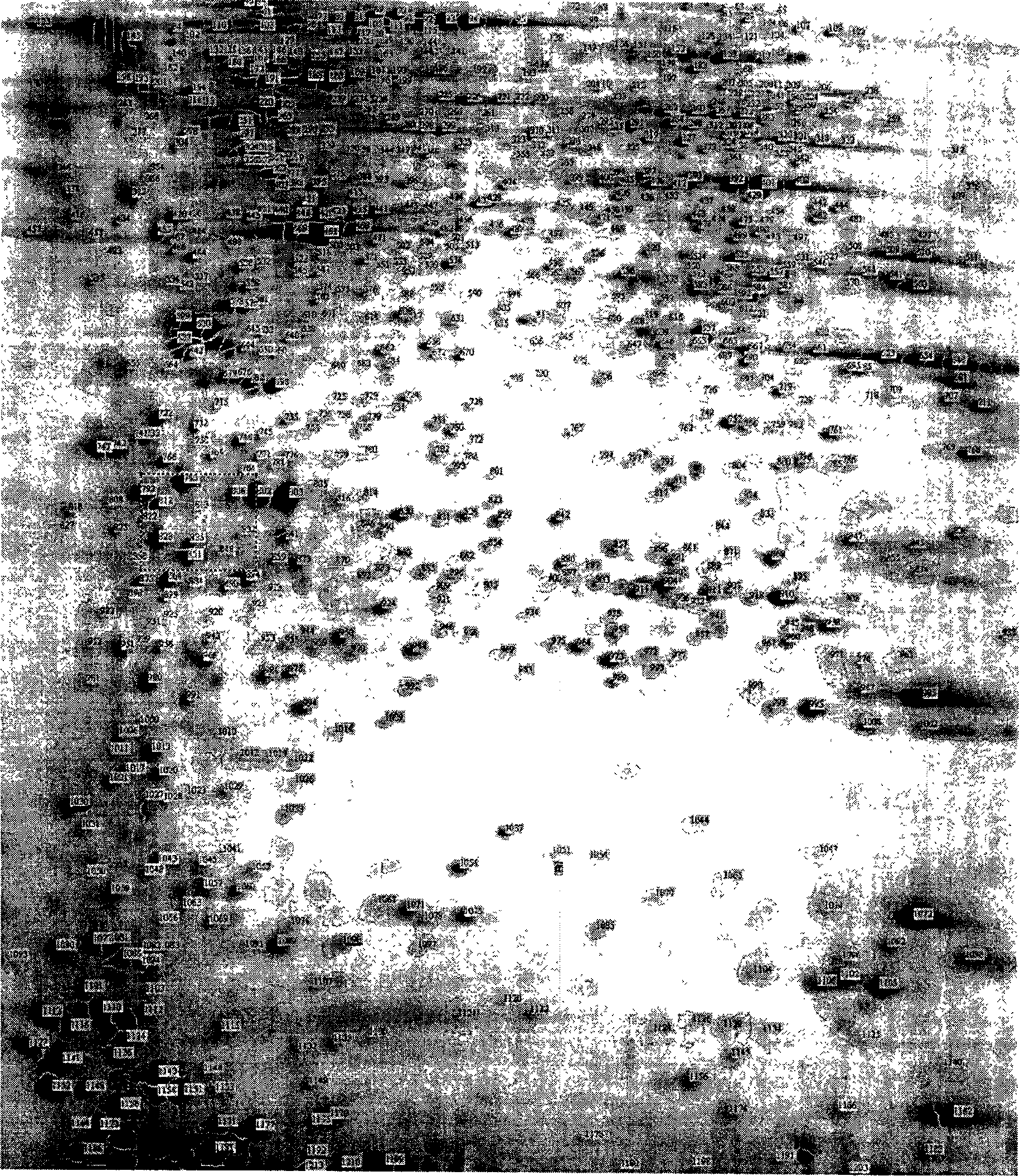 Method of screening action target of cardiac glycoside medicine using protein composition technology