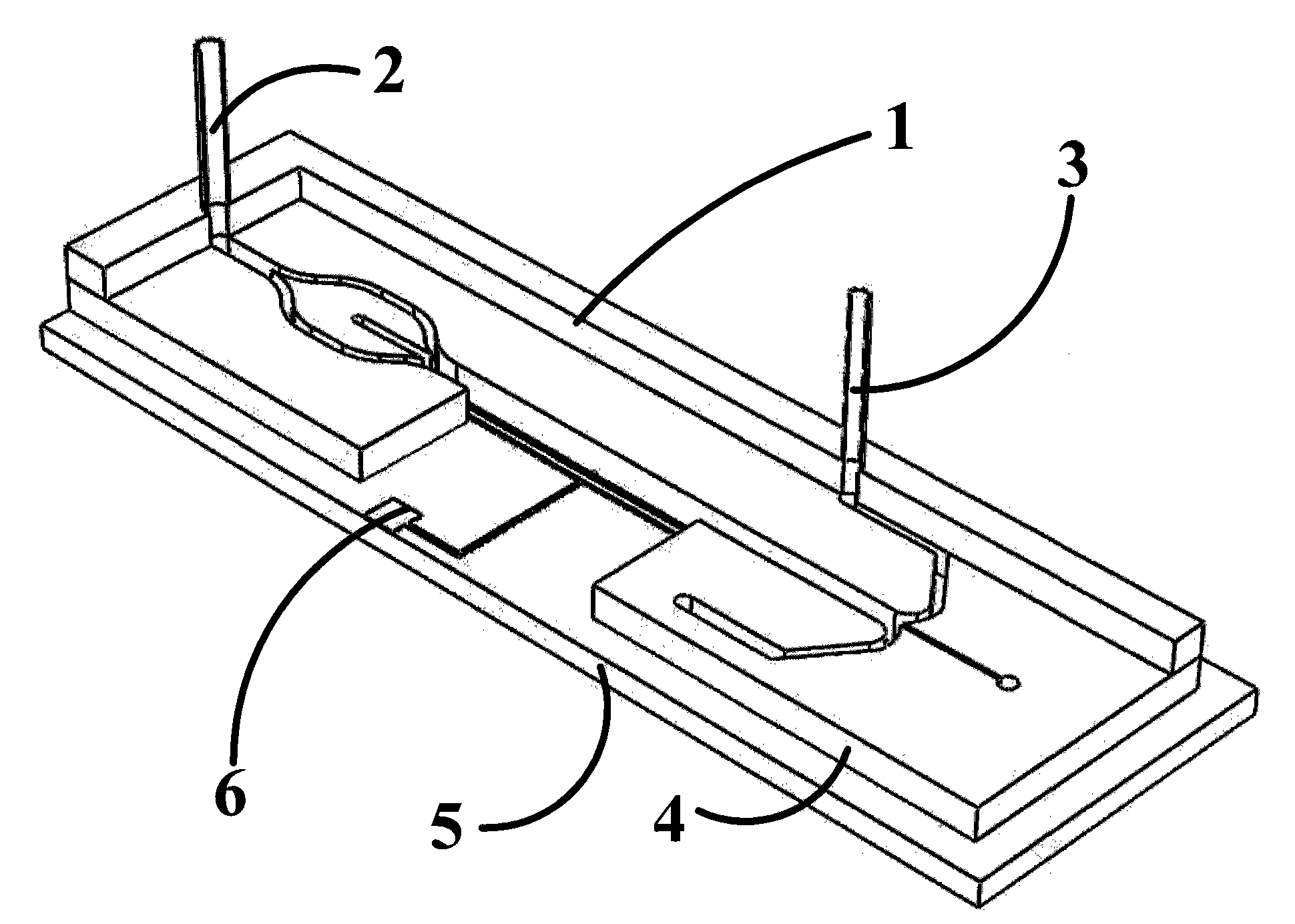 Flow type electroporation device and system