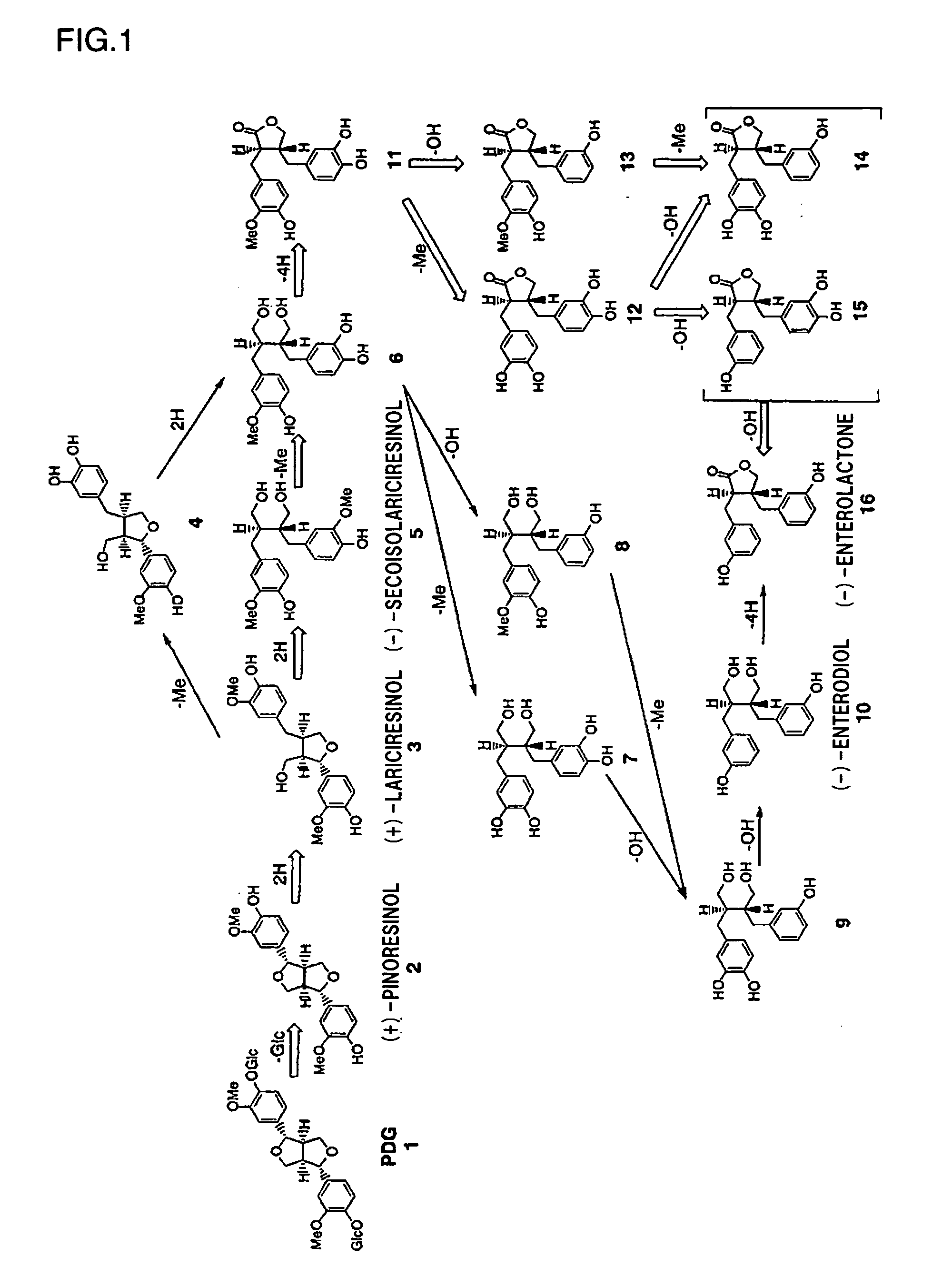 Prophylactic/Ameliorating Agent for Menopausal Disorder and Functional Beverage/Food