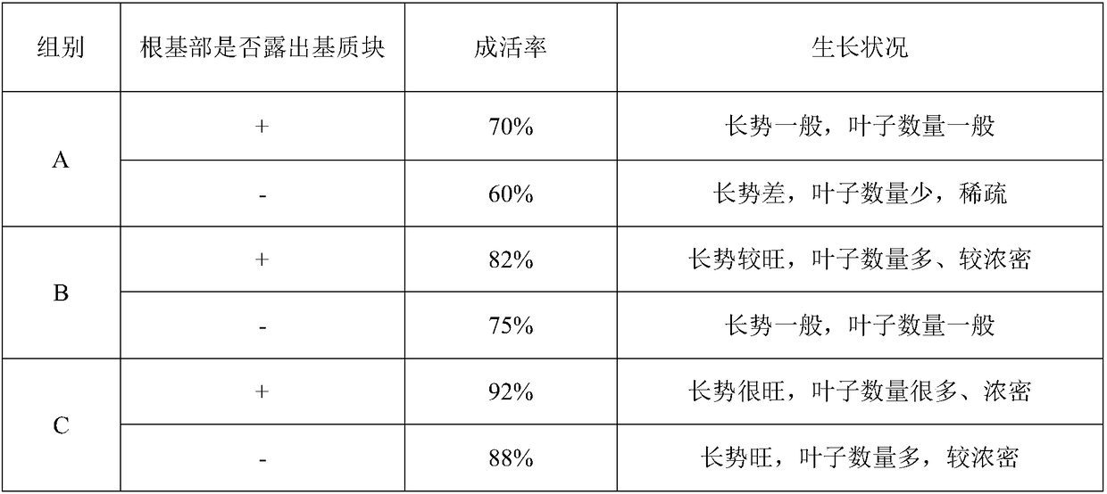 A method of using garden waste and native plants to restore understory vegetation and create land cover landscapes in Lingnan Township