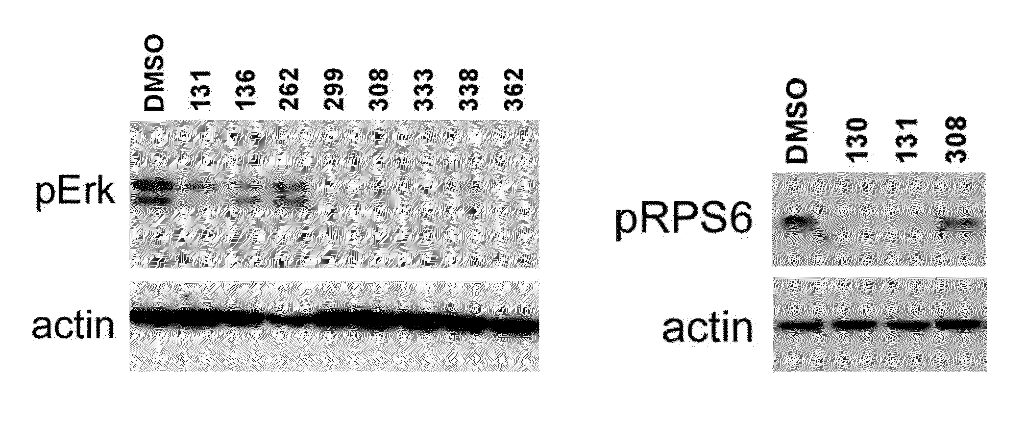 Inhibitors of kinases and cancer stem cells, and methods of preparation and use thereof