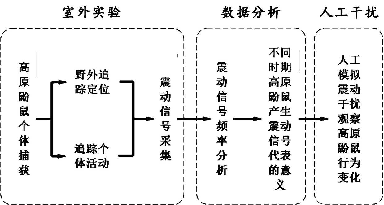 Myospalax vibration communication interference method and device