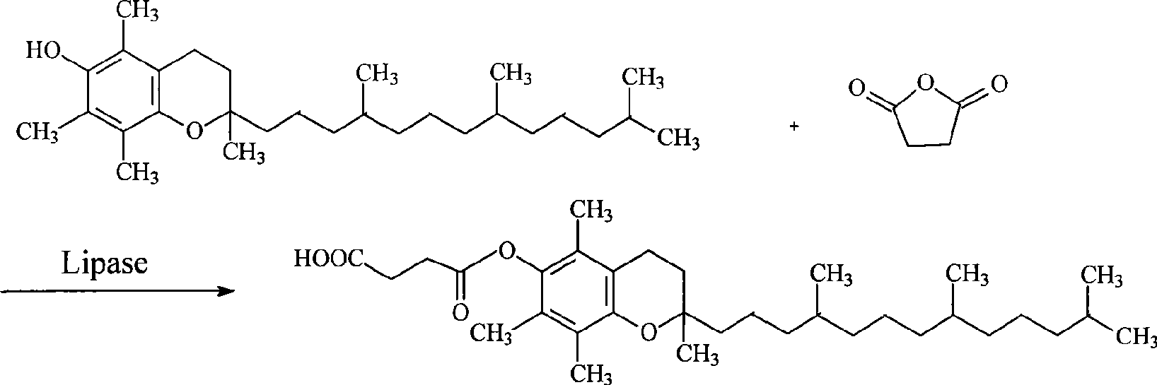 Method for synthesizing natural alpha-tocofecol tocopherol acid succinate by using lipase