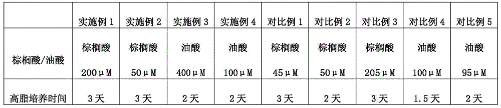 A kind of preparation method of non-alcoholic fatty liver zebrafish