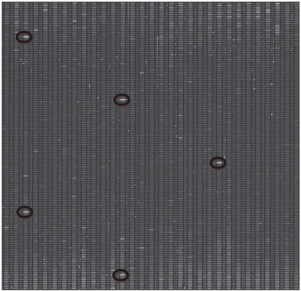 Construction method for high-throughput micro-fluidic chip detecting system