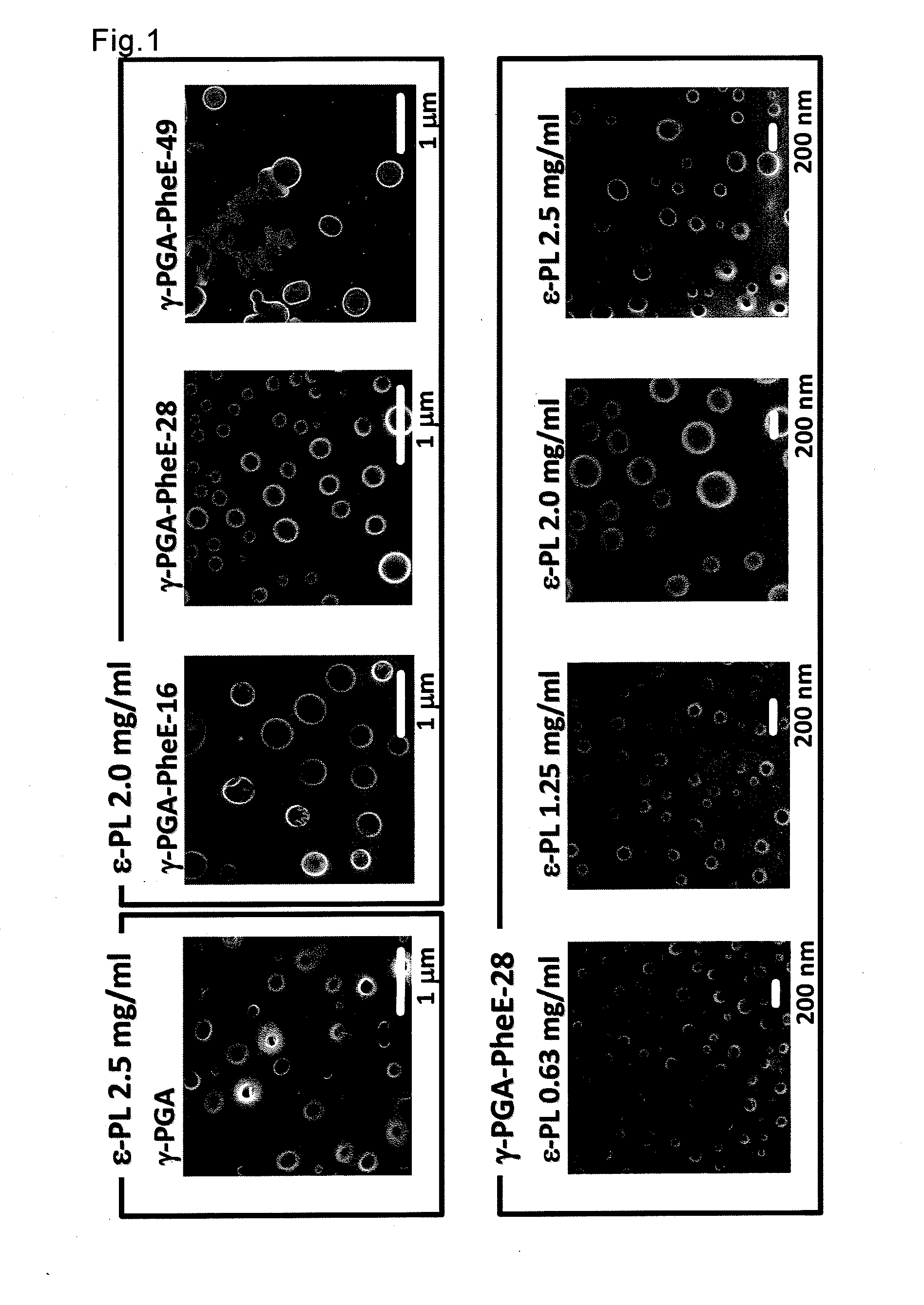 Polyion complex comprising hydrophobized polyamino acid and use of the same