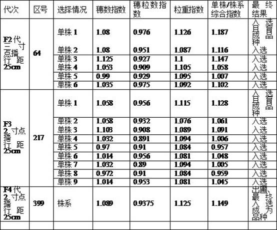 Method for selection and breeding of wheat hybrid offspring