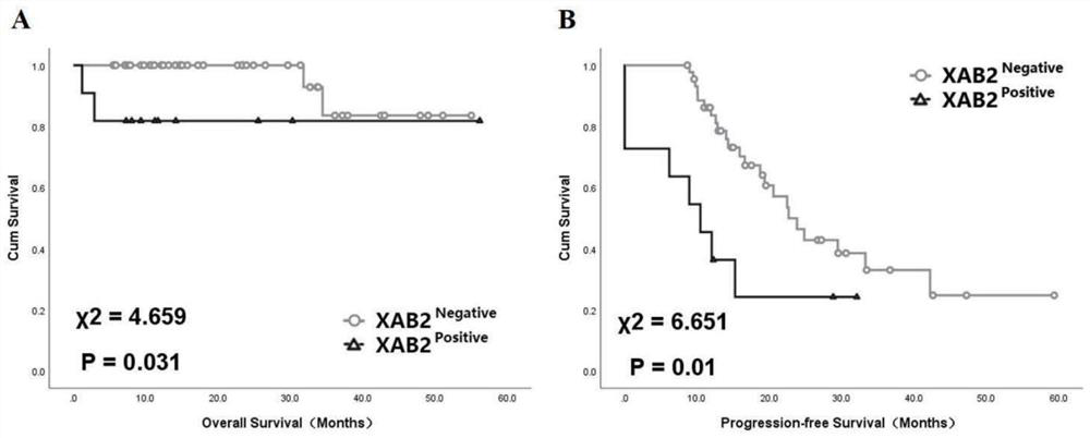 XAB2 protein as marker for prognosis and/or prediction of platinum drug resistance of ovarian cancer
