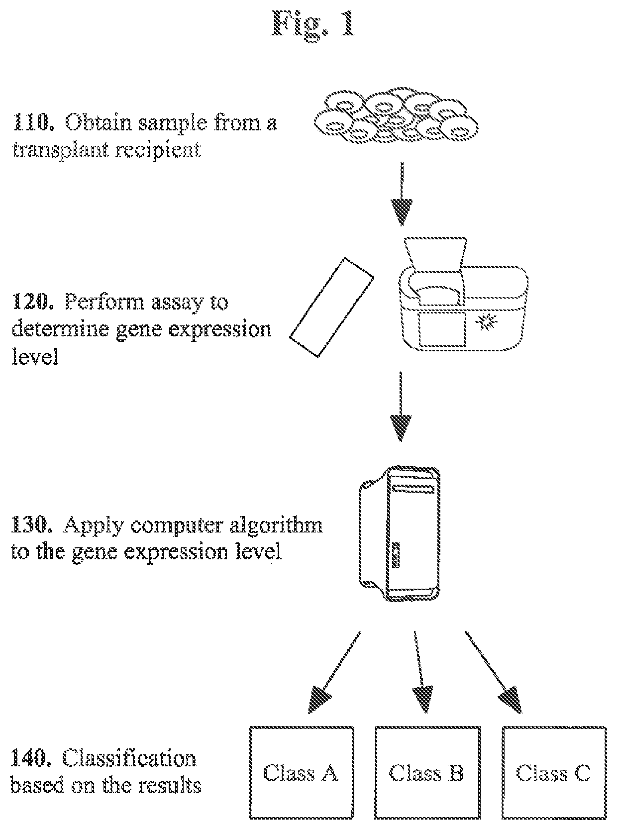 Molecular signatures for distinguishing liver transplant rejections or injuries