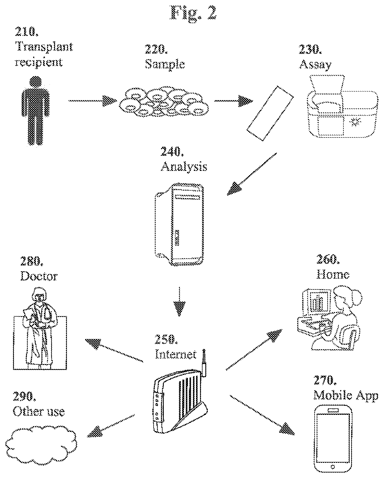 Molecular signatures for distinguishing liver transplant rejections or injuries