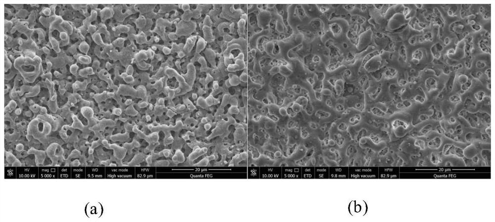 Micro-arc oxidation electrolyte for preparing high-corrosion-resistance and high-wear-resistance coating on surface of magnesium alloy and preparation method and application of micro-arc oxidation electrolyte