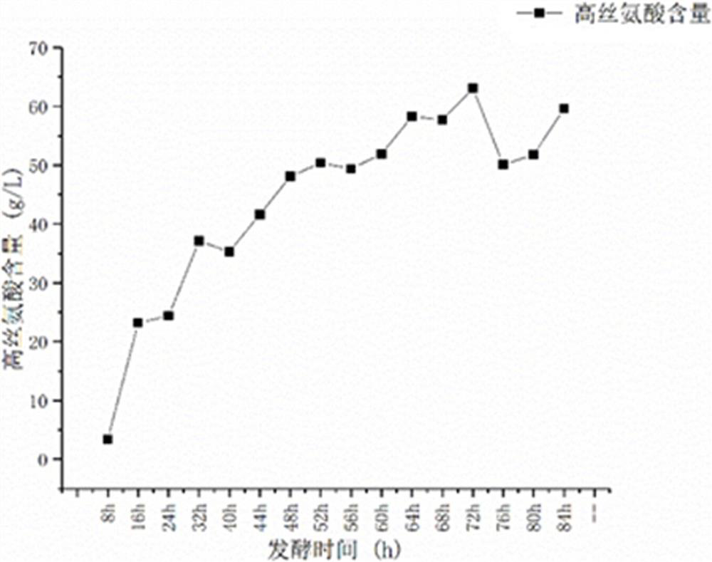 Genetically engineered bacterium for producing L-homoserine and application of genetically engineered bacterium