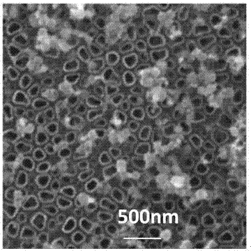 Application of Cu-doped three-dimensional ordered amorphous titania nanotube composite