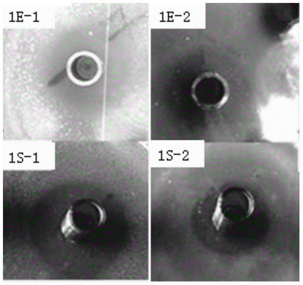 A method for promoting the secretion and expression of human beta-defensin 3 by Saccharomyces cerevisiae by using Polygonum water