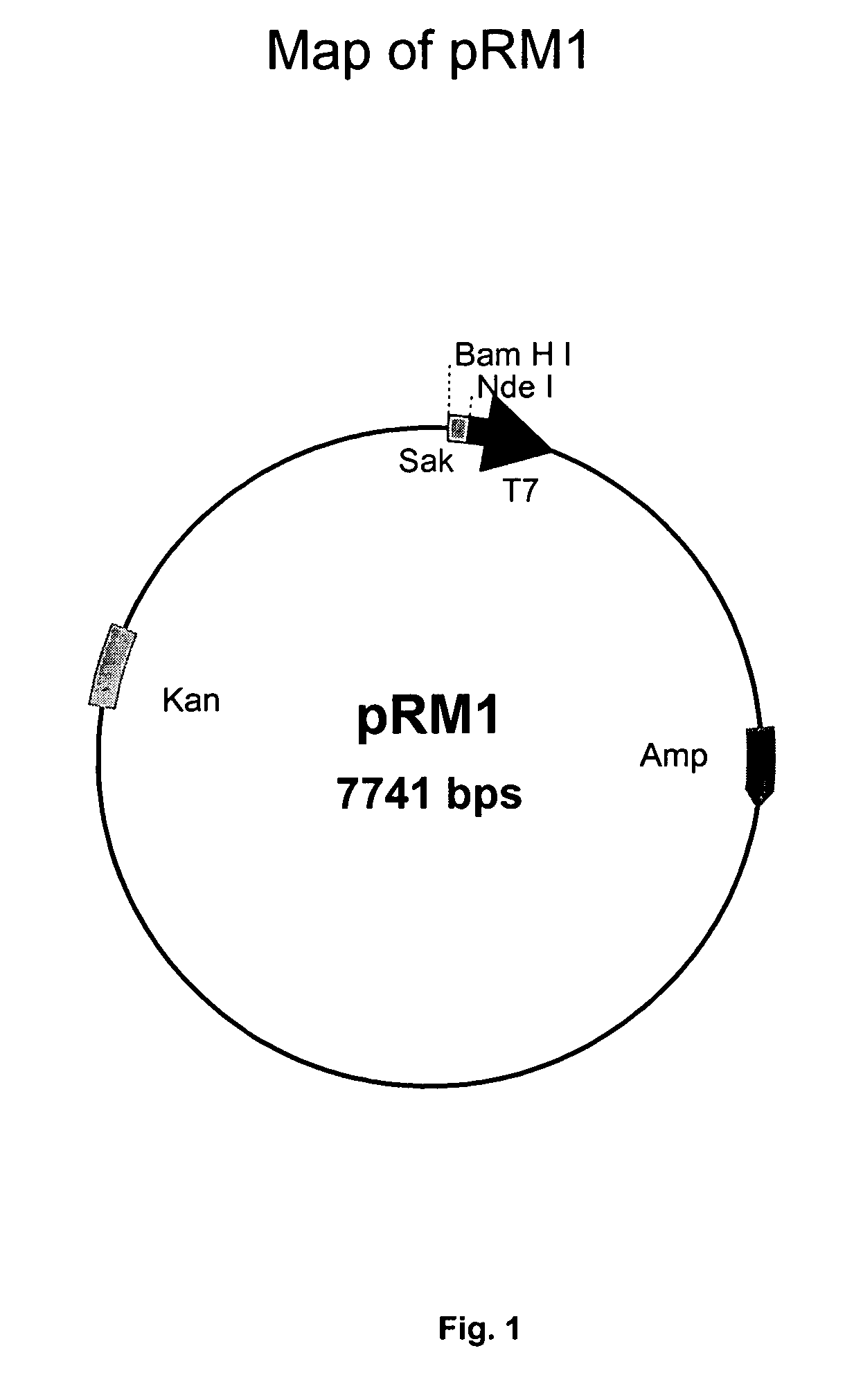 Method for oxygen regulated production of recombinant staphylokinase