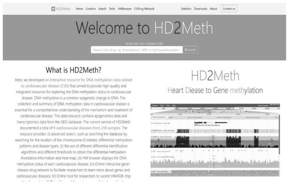 Cardiovascular disease patient DNA methylation data processing platform and method