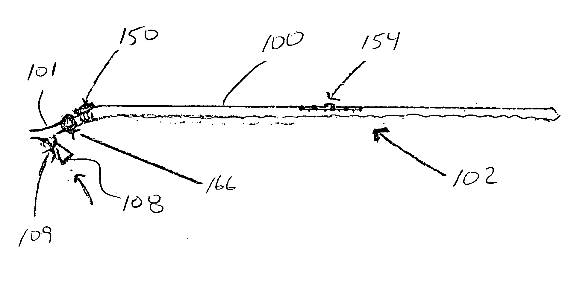 Showerhead with turbine driven light source