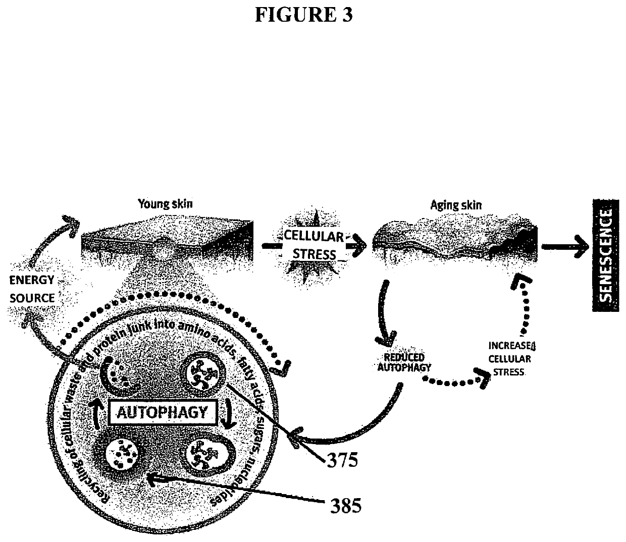 Autophagy activating complex, compositions and methods