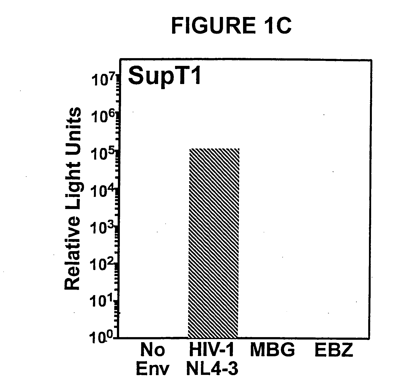 Methods and compositions for use in the treatment of filovirus mediated disease conditions