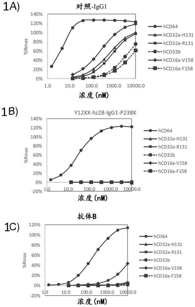 Antagonistic cd40 monoclonal antibodies and uses thereof