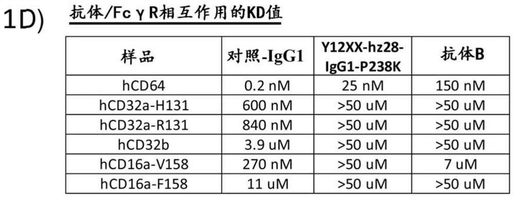 Antagonistic cd40 monoclonal antibodies and uses thereof