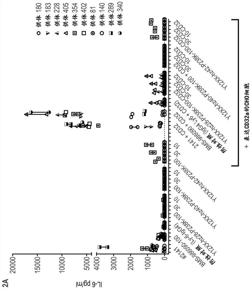 Antagonistic cd40 monoclonal antibodies and uses thereof