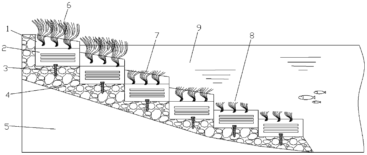 Disaster prevention ecological bank protection slope structure in marine ecological restoration