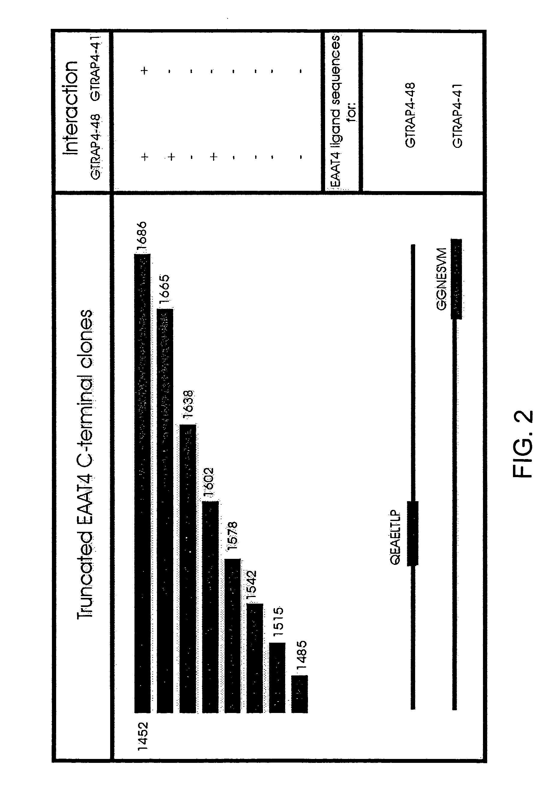 Glutamate transporter associated proteins and methods of use thereof