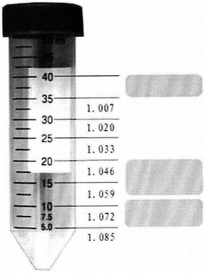 Method for separating and purifying human embryo trophoblast and placental mesenchymal stem cells