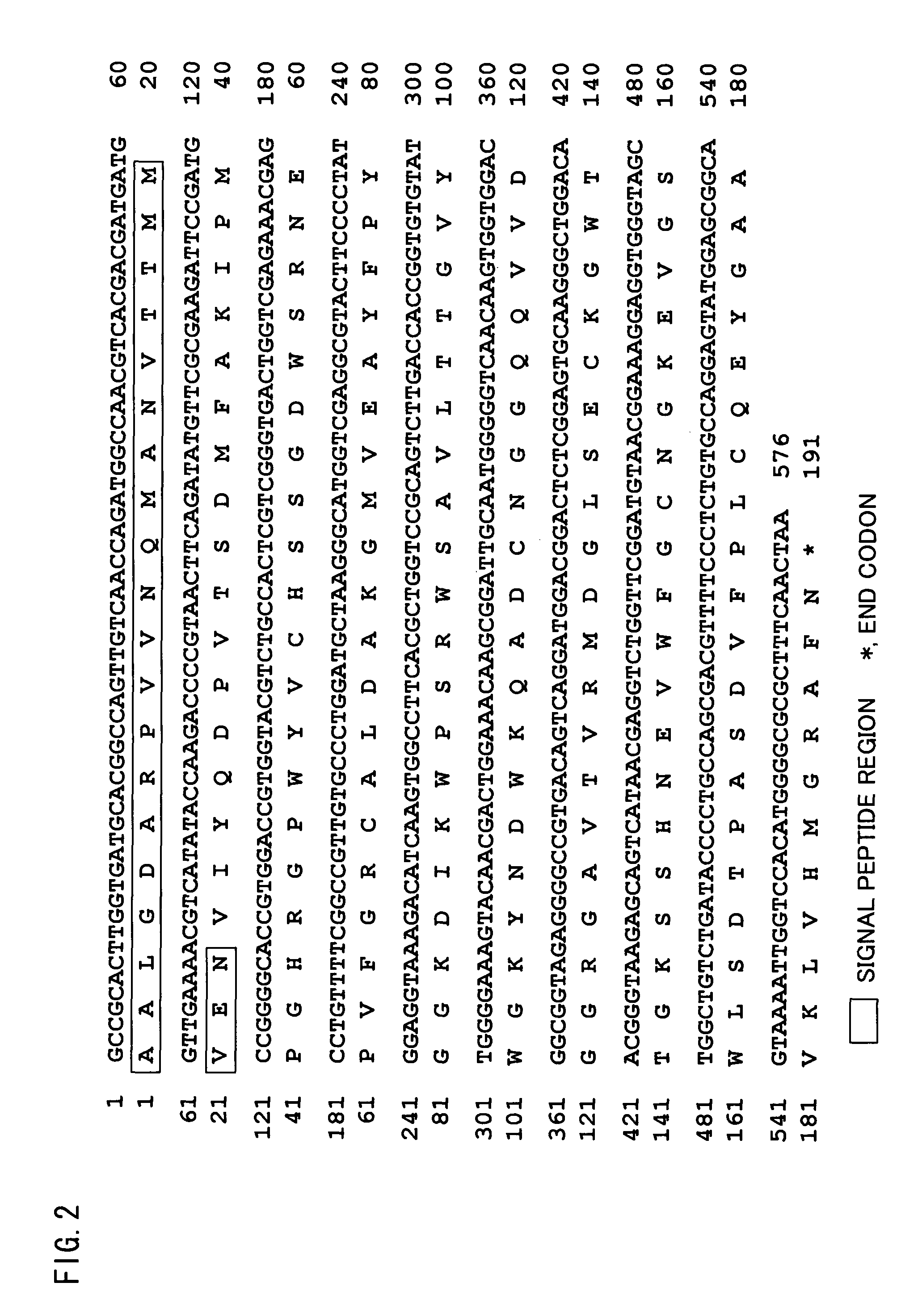 Isolated polypeptide binding to a sugar chain, polynucleotide encoding the polypeptide and use of the polypeptide and polynucleotide