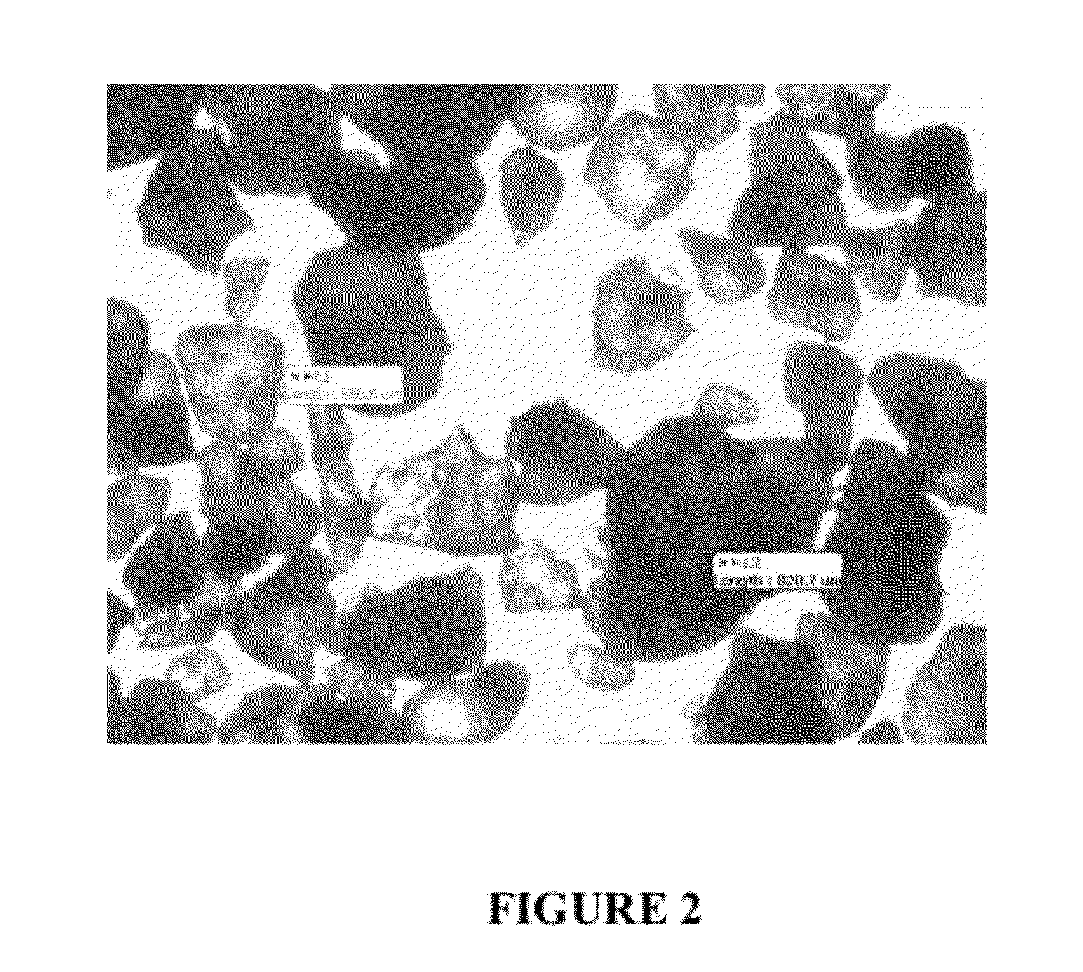 Enzyme Delivery Systems and Methods of Preparation and Use